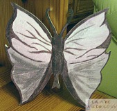 2012-03-05-papillon_bois