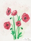 2022-07-07-coquelicots